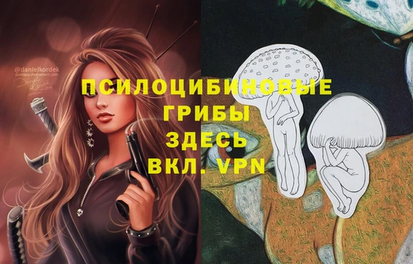 дурь Абаза