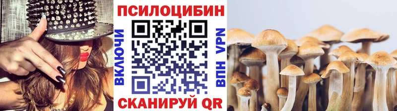 где купить наркотик  Полярный  Псилоцибиновые грибы Psilocybe 